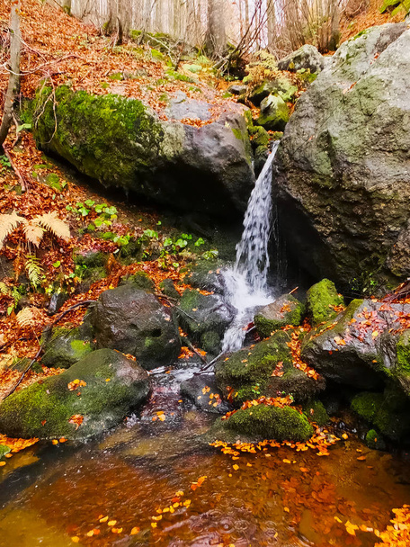 Pieni vesiputous syksyn metsässä myskin ja kivien ympärillä
 - Valokuva, kuva