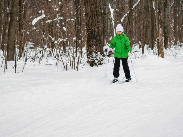 Το κορίτσι που κινείται για σκι με μπαστούνια μέσα στο δάσος του χειμώνα. - Φωτογραφία, εικόνα