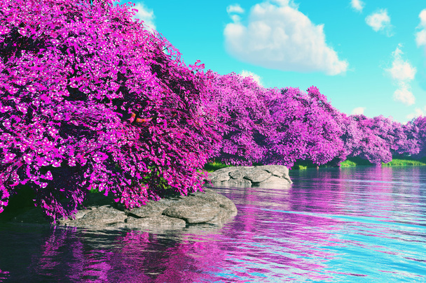Mysterious Cherry Blossoms Japanese Garden at Lake 3D render - Photo, Image