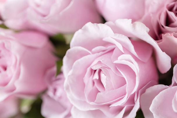 Lila zahradní růže. Kytice květů růží v skleněná váza. Shabby chic interiérem. Ranní rosa - odrůda. Tapety - Fotografie, Obrázek