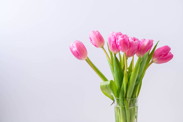 pink tulip flower on wood background - Fotó, kép