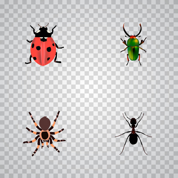 Σετ bug ρεαλιστική σύμβολα με πασχαλίτσα, σκαθάρι, μαύρη χήρα και άλλα εικονίδια για το σχεδιασμό λογοτύπου σας web εφαρμογή για κινητά. - Διάνυσμα, εικόνα