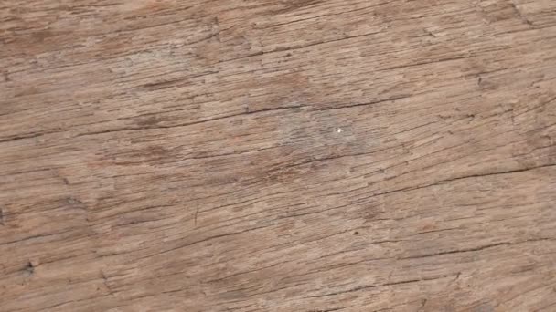 close up na textura da madeira
. - Filmagem, Vídeo