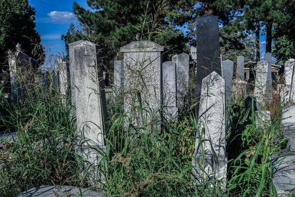 Pierres tombales dans le vieux cimetière juif
  - Photo, image