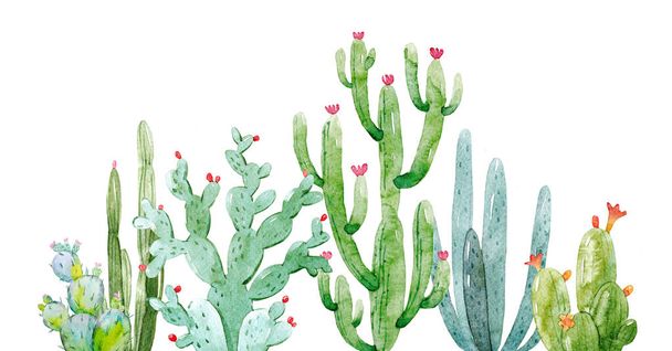 Watercolor cactus composition - Φωτογραφία, εικόνα