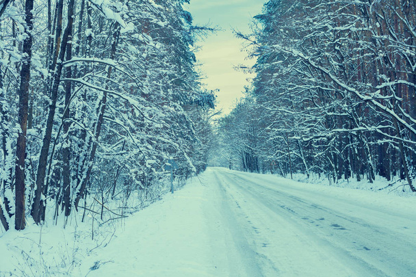 Verschneite Straße im Winterwald - Foto, Bild
