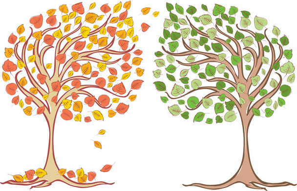 Listnatý strom v různých ročních obdobích - Vektor, obrázek
