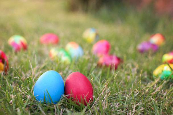 Kék és piros húsvéti tyúk tojás - Fotó, kép