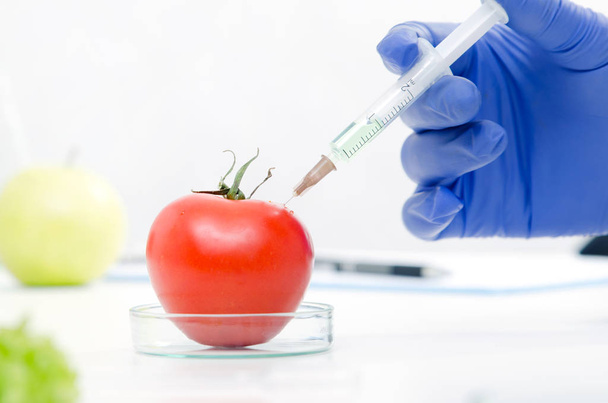 Scientist is working on genetically modified food. - Foto, Bild