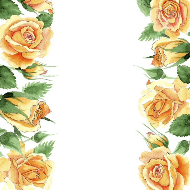 Wildflower κίτρινο τσάι-υβριδικά τριαντάφυλλα λουλουδιών καρέ σε στυλ υδροχρώματος. - Φωτογραφία, εικόνα