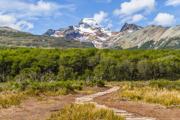 Snow mountains and forest in Laguna Esmeralda trail - Photo, Image