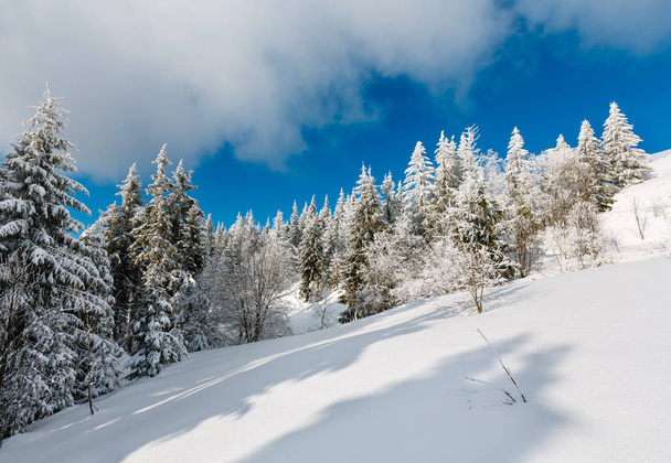 Winter mountain snowy landscape - Fotoğraf, Görsel
