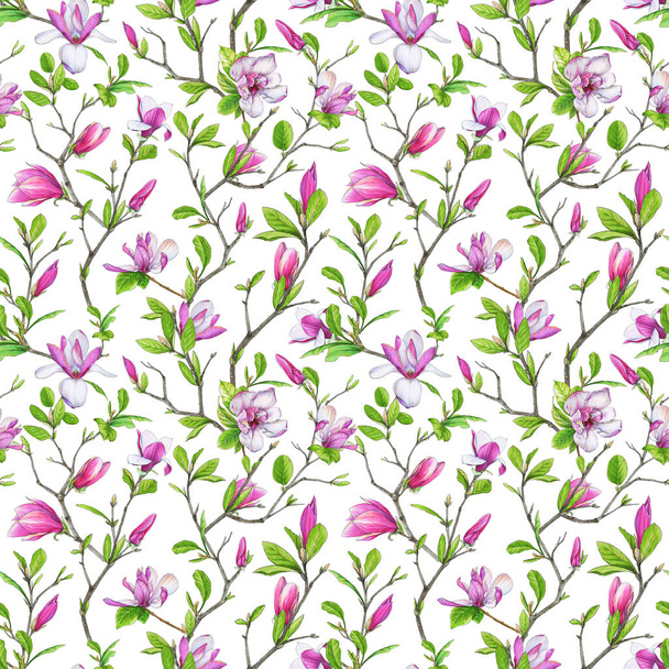 Seamless pattern, blooming magnolia and weave branches with green foliage. Illustration by markers, beautiful floral composition on a white background. - Fotó, kép