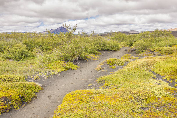 yürüyüş yolunda myvatn alanı - İzlanda. - Fotoğraf, Görsel