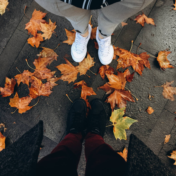 vista de duas pernas femininas em sapatos na estrada com folhas de laranja na cidade
 - Foto, Imagem