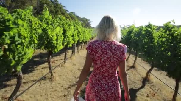 Woman in Australian Vineyard - Footage, Video