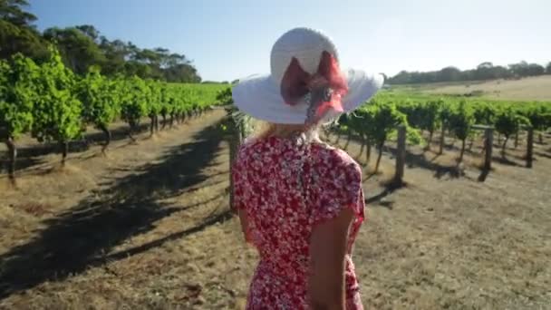 Αμπελώνας γυναίκα γεωργός - Πλάνα, βίντεο