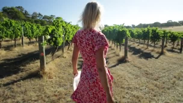 Farmer in Australian Vineyard - Footage, Video
