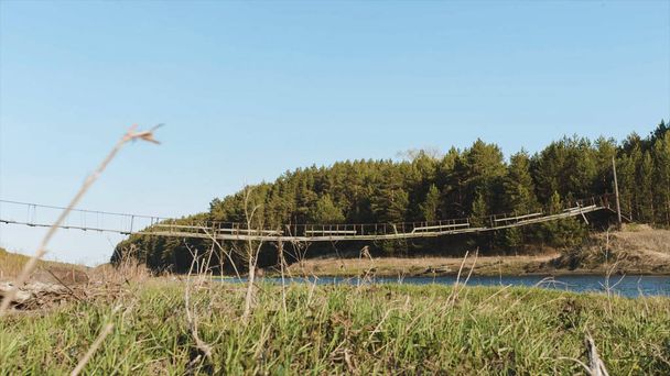Puente y campo de madera. Vídeo. Un pequeño puente de madera sobre un arroyo. Hierba, cielo azul, juncos. Un puente de madera está hecho para cruzar un campo de arroz
. - Foto, imagen