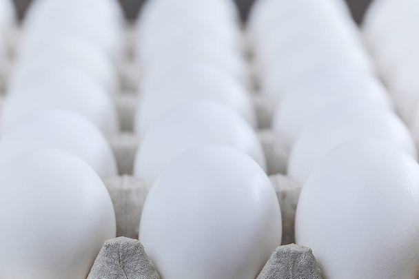 Дивовижне зображення яєць у білому кольорі та макро крупним планом зверху яєць, ізольоване на білому тлі з невеликою глибиною різкості. Приголомшлива векторна ілюстрація білих яєць. Концепція комерційних яєць
. - Фото, зображення