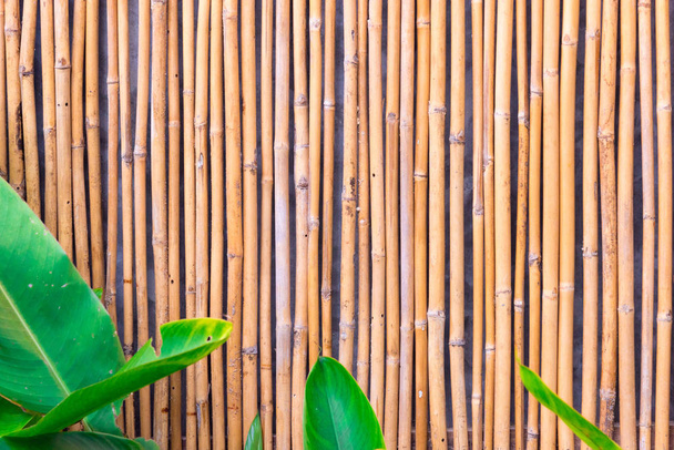 Recinzione di bambù sfondo
 - Foto, immagini