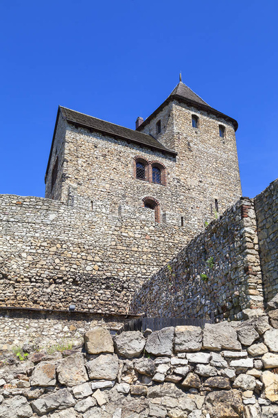 Castello gotico medievale, Castello di Bedzin, Alta Slesia, Bedzin, Polonia
 - Foto, immagini