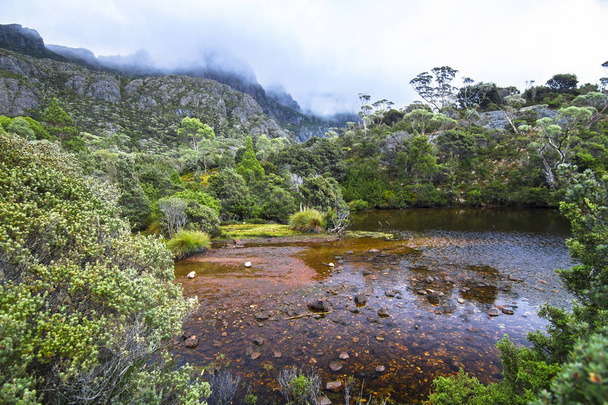 Backcountry de la Montaña de la Cuna - Parque Nacional Lago St Clair, Tasmania
 - Foto, imagen