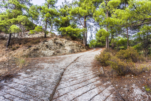 At the crossroad of mountain road in the Troodos mountains in the Central part of the island of Cyprus - Zdjęcie, obraz