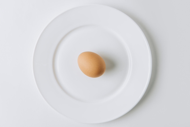 brown egg laying on white plate on white background - Foto, Imagen