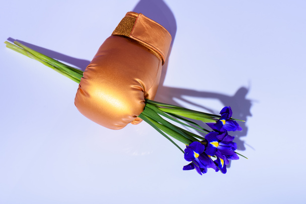 top view of purple iris flowers in golden boxing glove - Zdjęcie, obraz