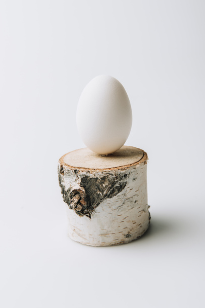 white egg laying on wooden stump on white background - Foto, Imagen