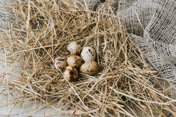quail eggs laying on straw over sackcloth  - Photo, Image