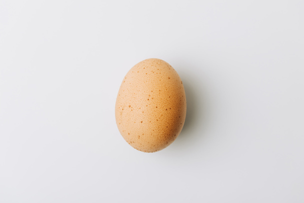 brown egg laying on white background  - Φωτογραφία, εικόνα