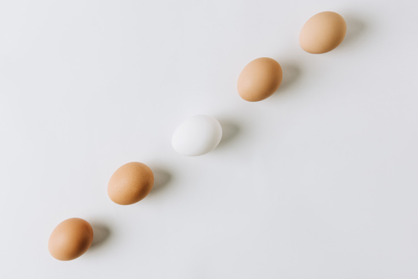 ovos brancos e marrons em uma fileira no fundo branco
 - Foto, Imagem