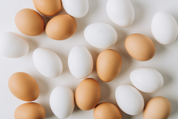 eggs - Fotografie, Obrázek