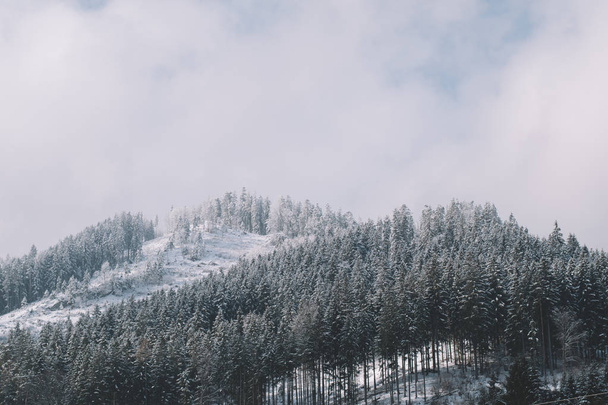 Winter landscape. Snowy mountain. - Fotoğraf, Görsel