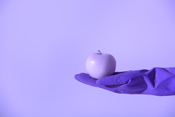 обрізаний вид на руку в гумовій рукавичці, що тримає фіолетове яблуко, ізольовано на ультрафіолетовому
 - Фото, зображення