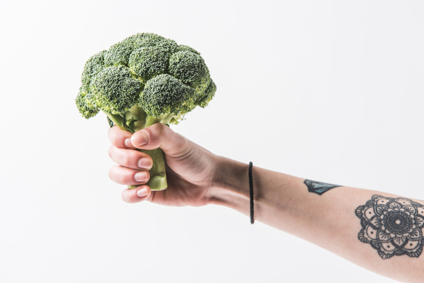 Hand holding raw broccoli cabbage florets isolated on white background - Photo, Image