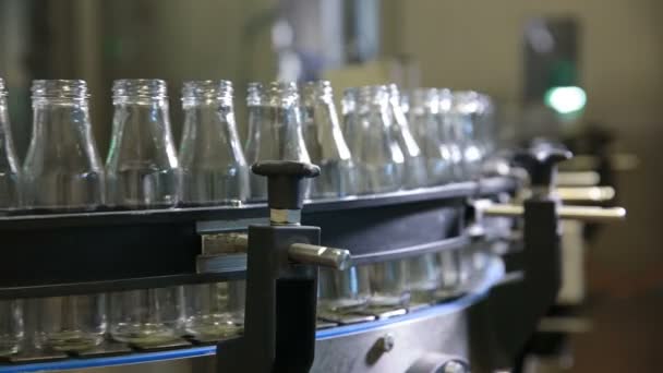 Conveyor with milk bottles. - Footage, Video