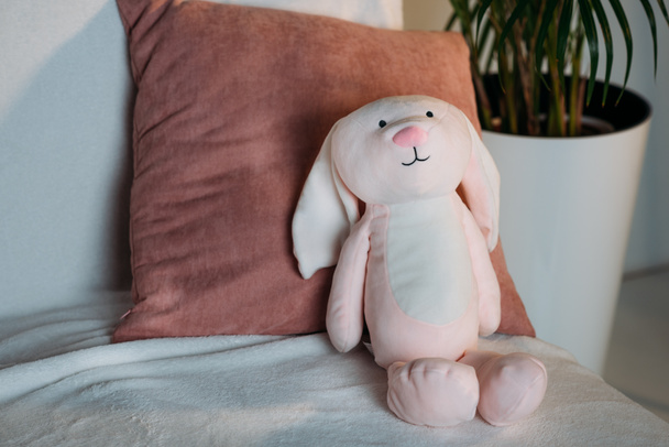 lähikuva vaaleanpunainen lapsellinen lelu sohvalla
 - Valokuva, kuva