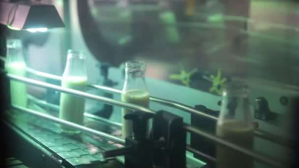 Packaging bottles line in the milk industry. - Footage, Video