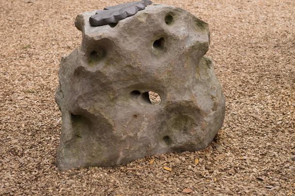 Primer plano piedra grande con agujeros en el suelo del bosque
 - Foto, Imagen