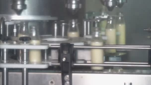 Plnění lahví s mlékem a mléčnými výrobky - Záběry, video