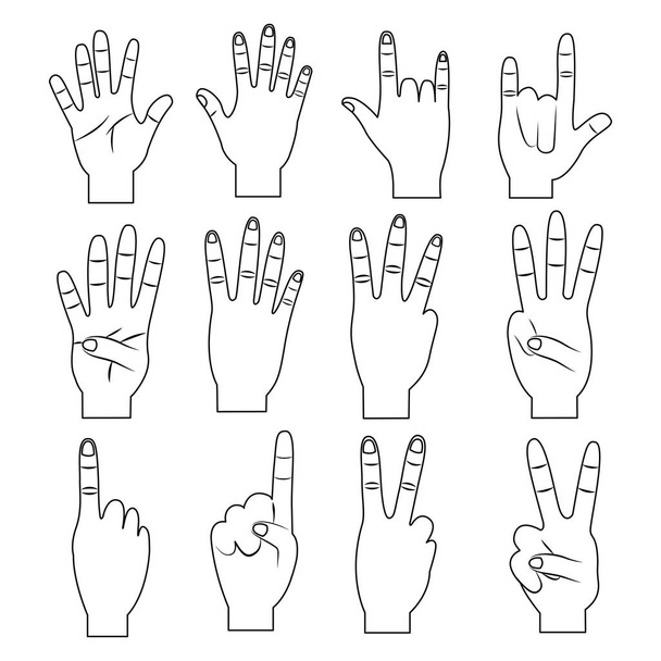conjunto de manos diferentes gestos contorno diseño
 - Vector, imagen