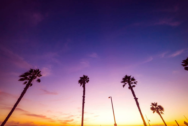 Pink sunset in Santa Monica beach - Photo, Image