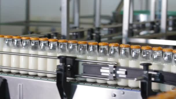 Linha de garrafas de embalagem na indústria do leite
. - Filmagem, Vídeo