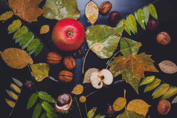 Nature morte pluvieuse d'automne - feuilles jaunes, pommes, noix, glands, châtaignes sur fond humide. Humeur d'automne
. - Photo, image