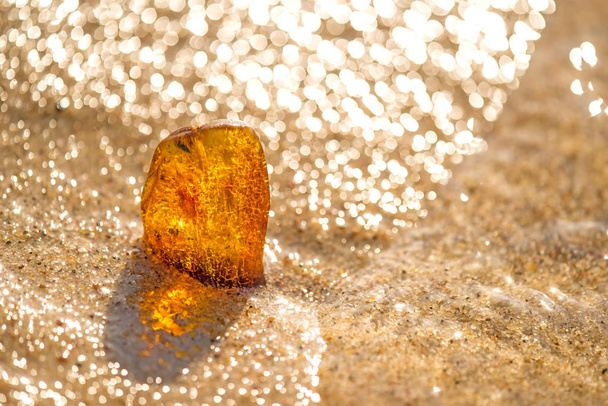 Amber on a beach of the Baltic Sea - Photo, Image