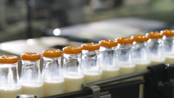 Balení láhve linie v odvětví mléka. - Záběry, video