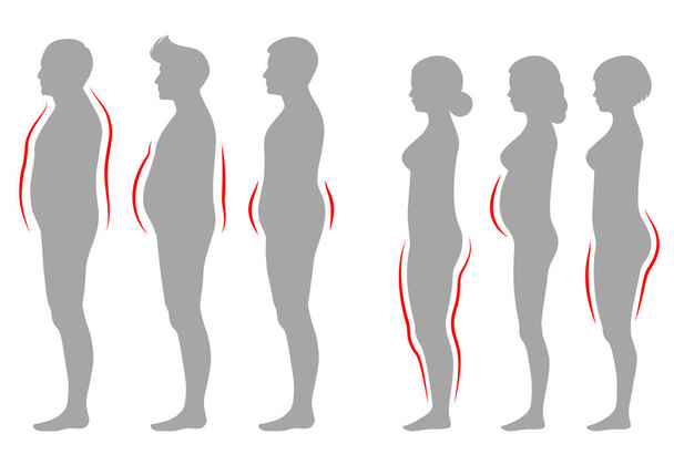 illustration vectorielle de l'obésité type de corps de femme et d'homme, silhouette de figure vectorielle en surpoids
 - Vecteur, image